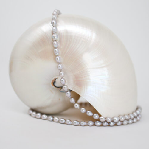 long silver pearl necklace, double strand by brittany myra